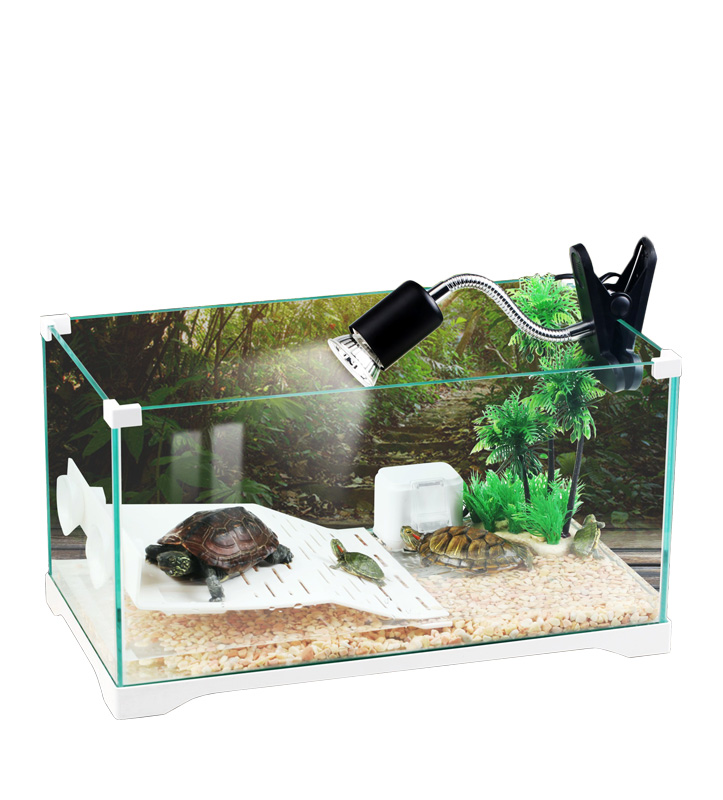 SunSun HKJ-600 Turtle Tank w/ Heat Lamp, Platform, Filter - Superior Pets -  Wholesale Aquarium Supplies